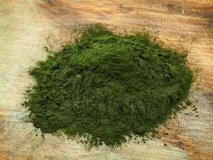 Chlorella