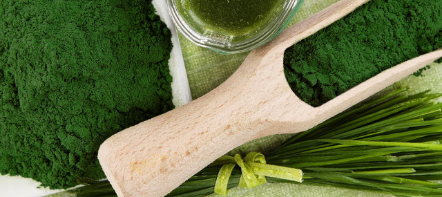 Espirulina para adelgazar posologia rivotril