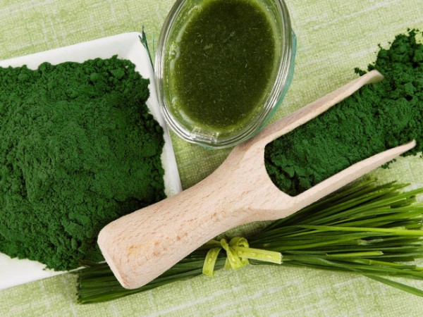 ESPIRULINA propiedades, beneficios, contraindicaciones, dosis