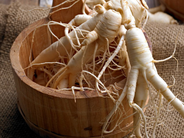 Ginseng