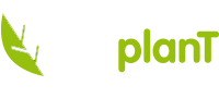 Topplant