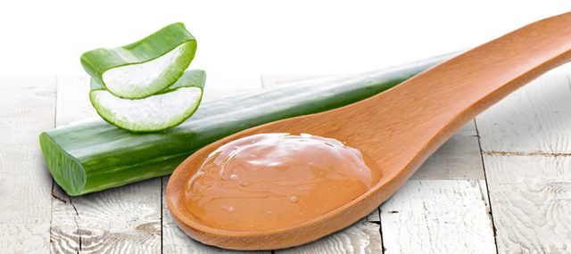 Aloe vera