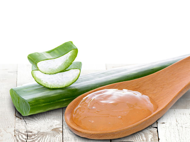 Aloe vera