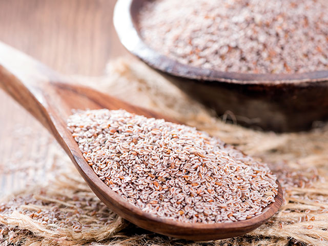 Psyllium