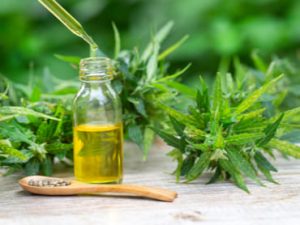 aceite de CBD y hojas de cannabis